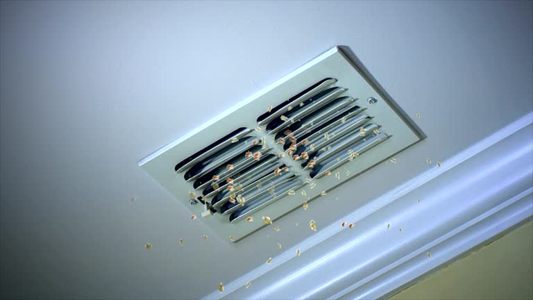 Best Residential Air Duct Cleaning  in Tomah, WI