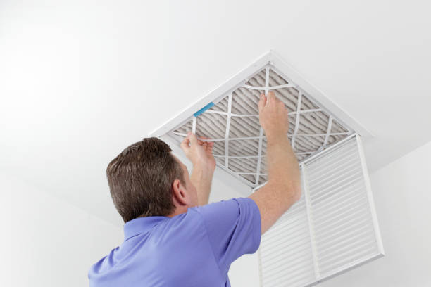 Best Home Air Vent Cleaning  in Tomah, WI